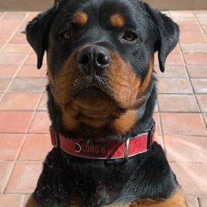 Meet your Posher, Phyllis